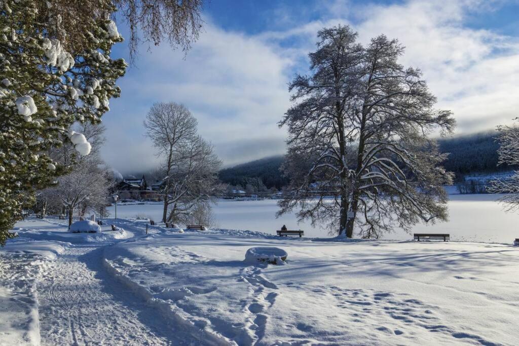 Waldloft Titisee Exterior photo